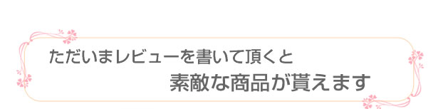 レビュー