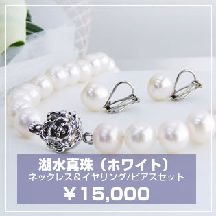 ����֥�å��ե����ޥ롢�ѡ��롢���奨�꡼���ּ������ס����ء�´��