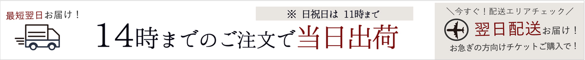 当日出荷