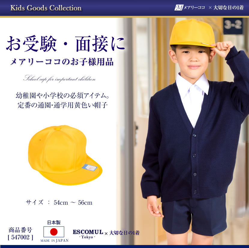 小学校受験対策】雙葉小学校 受験対策問題（チェリー幼児教室
