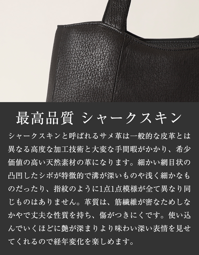 シャークフォーマルバック