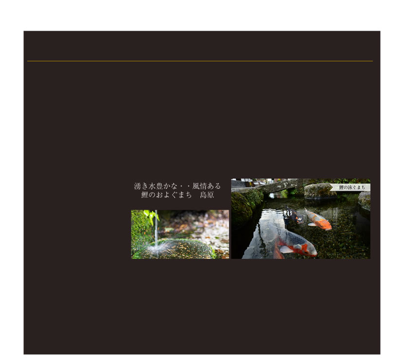 会社概要