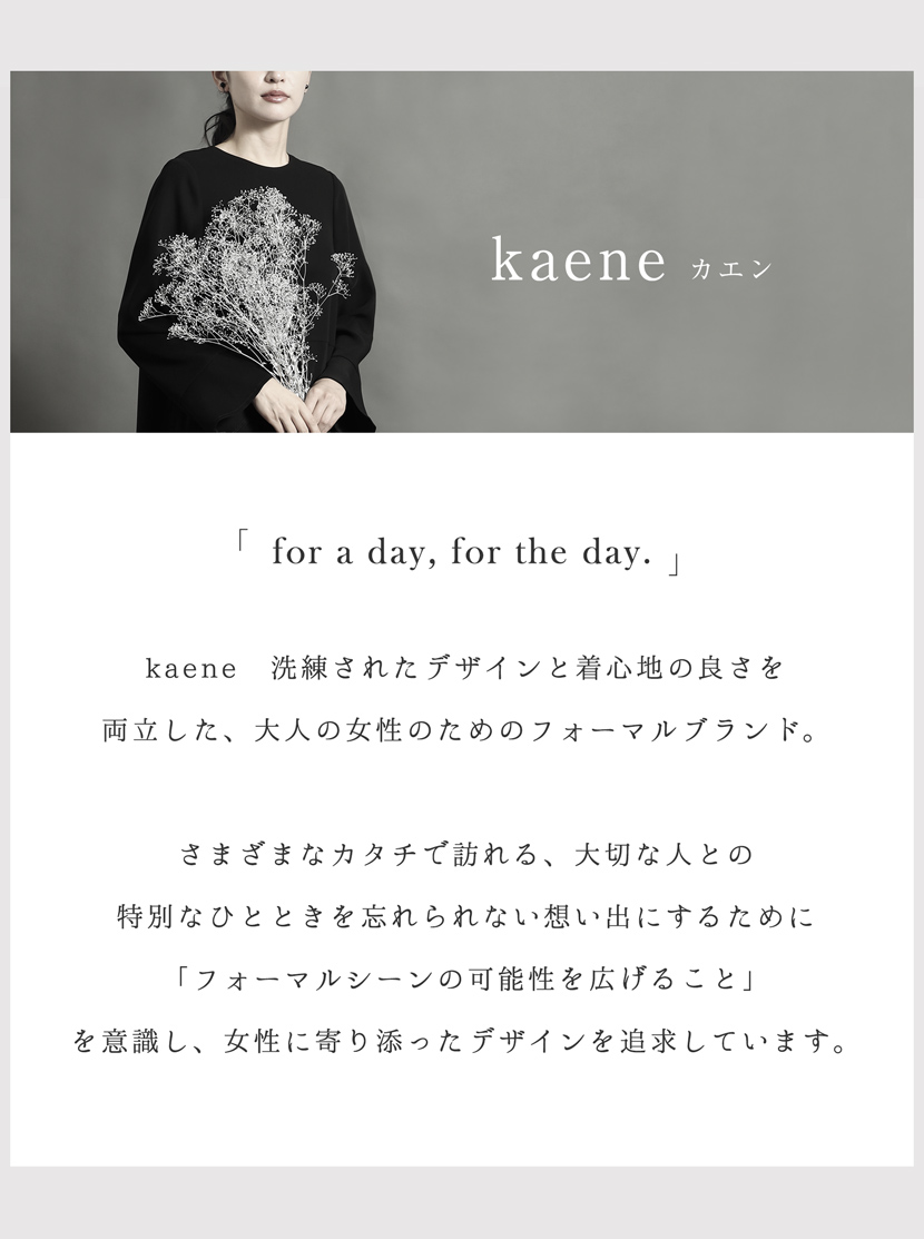 kaene説明