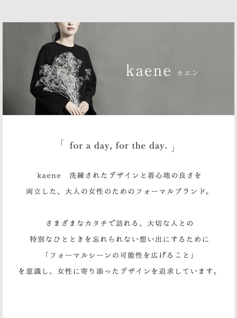 kaene説明