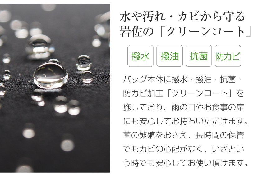 岩佐のフォーマルバック